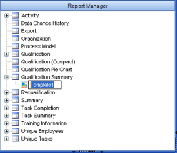 gra_reports_qual_summary_template_edit_mode.png