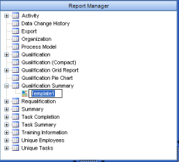 gra_reports_qual_summary_template_edit_mode.png