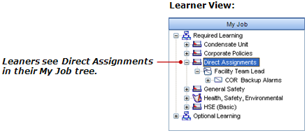 whats_new_9.0_direct_assignments_learner_view.png